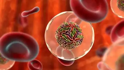 Zakon.kz, фото - Новости Zakon.kz от 28.10.2016 13:22