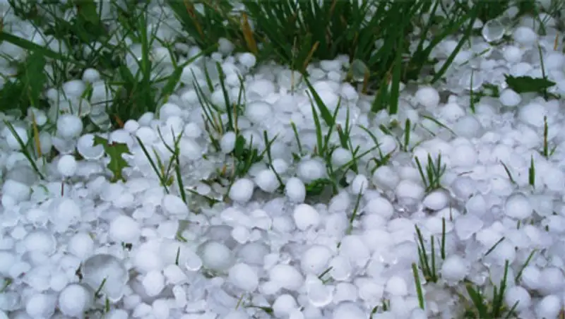 Синоптики прогнозируют  дожди с грозами и град на севере и сильную жару на юге Казахстана