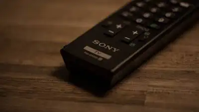 Pixabay, фото - Новости Zakon.kz от 15.06.2020 14:15