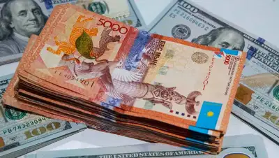 доллар, средневзвешенный курс иностранных валют, фото - Новости Zakon.kz от 25.05.2022 15:42