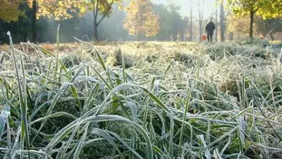 Zakon.kz, фото - Новости Zakon.kz от 30.08.2016 02:00