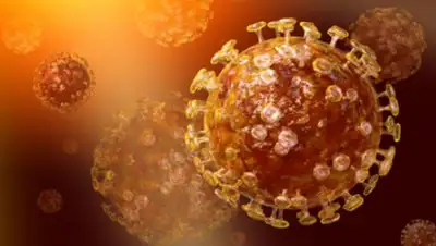 Федеральный центр гигиенического образования, фото - Новости Zakon.kz от 23.01.2020 09:50