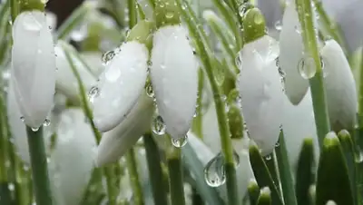 Zakon.kz, фото - Новости Zakon.kz от 13.04.2015 20:40