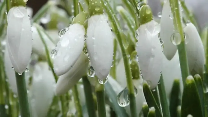 На выходных в РК зафиксировали аномально высокую температуру, а в ближайшие 3 суток ожидаются дожди и грозы