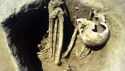 Zakon.kz, фото - Новости Zakon.kz от 05.02.2016 07:50