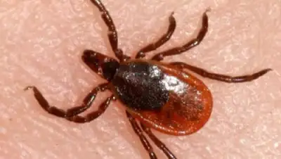 Zakon.kz, фото - Новости Zakon.kz от 30.06.2015 21:38