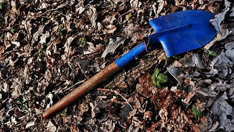 В Белоруссии мужчина, закопавший заживо жену вместе с младенцем, получил пожизненный срок