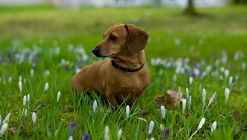 В Казахстане в ближайшие трое суток ожидается кратковременное прекращение осадков