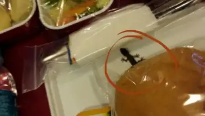 Zakon.kz, фото - Новости Zakon.kz от 14.06.2015 00:40