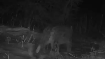 кадр из видео, фото - Новости Zakon.kz от 09.12.2019 17:34