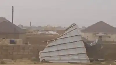 ветер, фото - Новости Zakon.kz от 20.05.2022 19:11