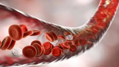 medklinika, фото - Новости Zakon.kz от 02.05.2021 08:37