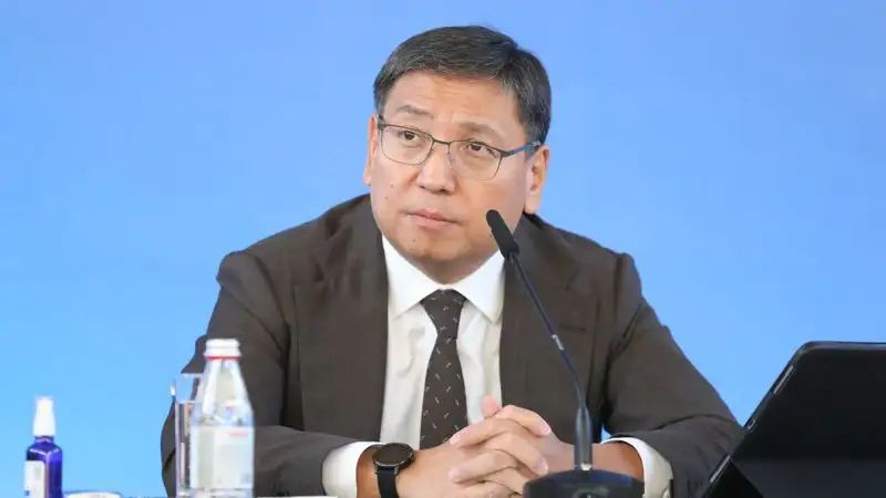 Ерболата Досаева попросили объявить выговор председателю КСК