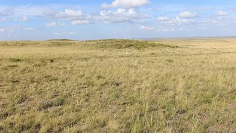 В Кызылорде началась выдача земельных участков под ИЖС