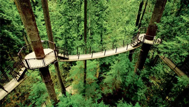 Самые страшные мосты мира