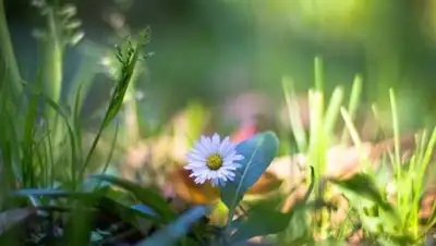 telegraf.com.ua, фото - Новости Zakon.kz от 02.06.2018 16:40