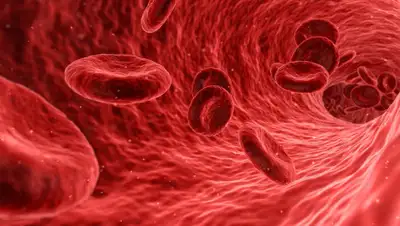 pixabay.com, фото - Новости Zakon.kz от 25.08.2019 20:35