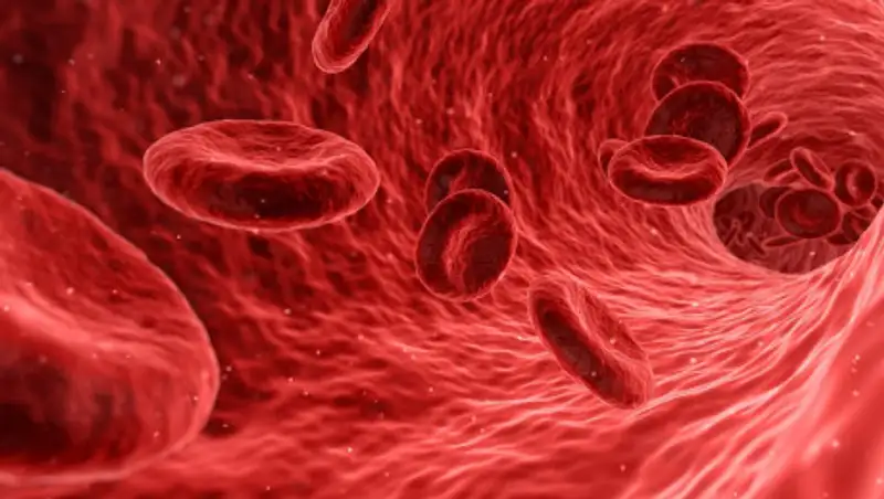 Назван первый симптом рака поджелудочной железы