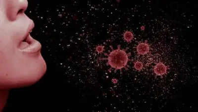 DW, фото - Новости Zakon.kz от 02.06.2021 08:53