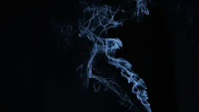 Почти 50 тысяч вейпов нещадно уничтожили в Жамбылской области, фото - Новости Zakon.kz от 29.08.2023 09:38