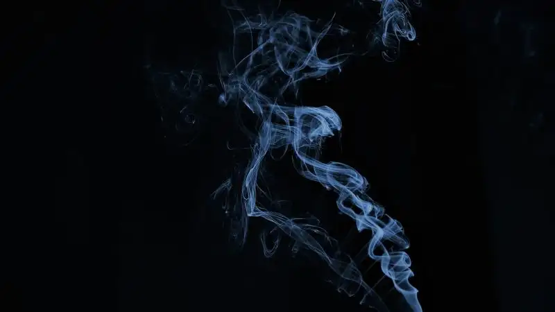 Конфискованные вейпы на 171 млн тенге уничтожили в Жамбылской области