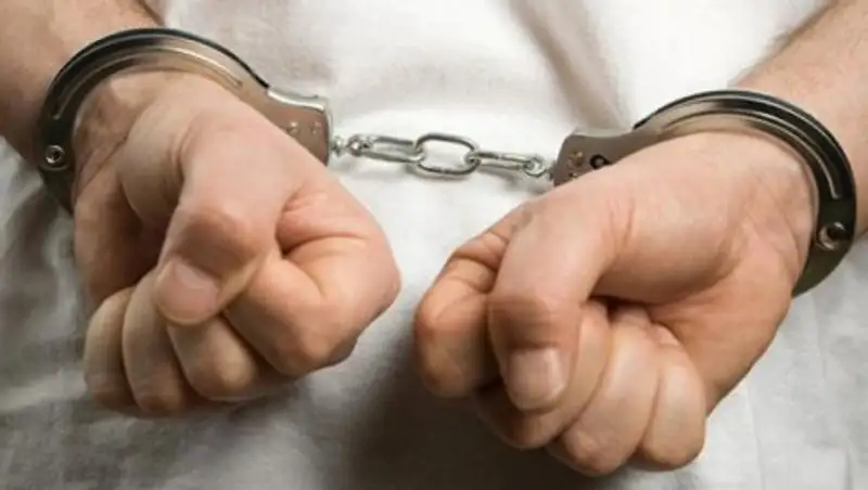 В Венгрии задержали мигранта, подозреваемого в изнасиловании в Гамбурге