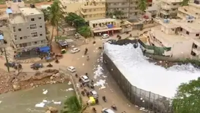 Zakon.kz, фото - Новости Zakon.kz от 19.08.2017 09:40