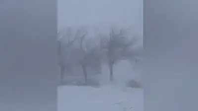 зима, штормовое, фото - Новости Zakon.kz от 03.01.2023 19:27