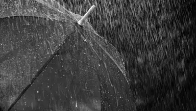 pixabay.com, фото - Новости Zakon.kz от 12.06.2020 11:35