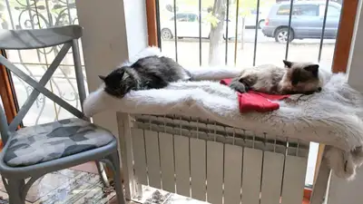 подключение отопления, фото - Новости Zakon.kz от 12.10.2023 18:18