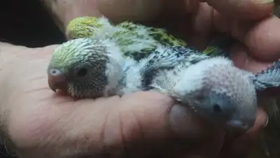 Zakon.kz, фото - Новости Zakon.kz от 10.03.2017 06:07