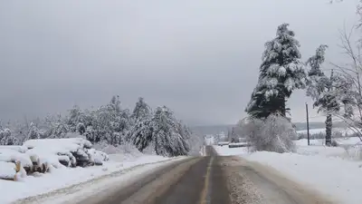 гололед, предупреждение, фото - Новости Zakon.kz от 25.11.2021 18:17