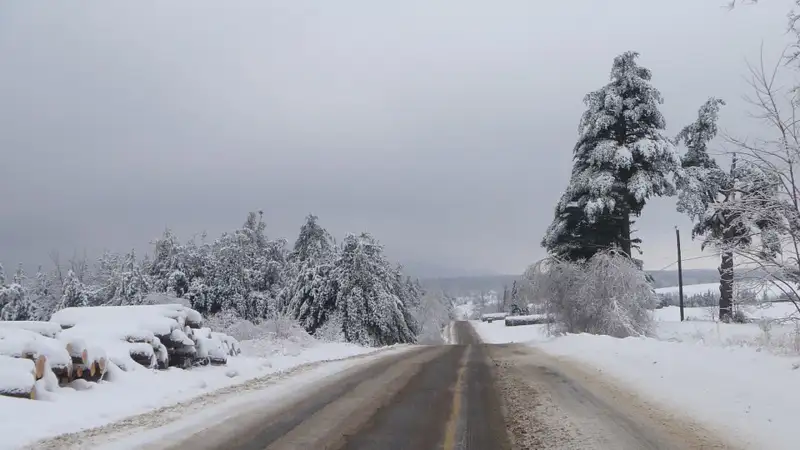 Гололед и туман — в восьми областях Казахстана объявлено штормовое предупреждение