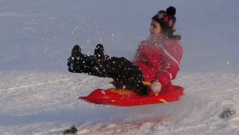 Синоптики рассказали, каким будет начало января в Казахстане