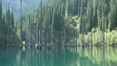 yvision.kz, фото - Новости Zakon.kz от 20.05.2021 15:51