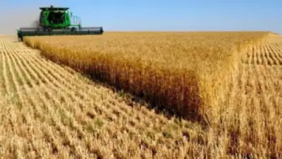 Zakon.kz, фото - Новости Zakon.kz от 05.06.2015 23:15