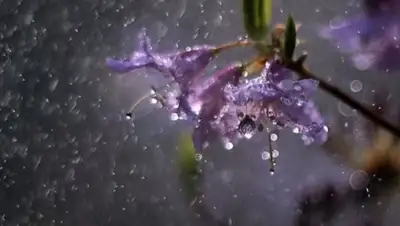 Zakon.kz, фото - Новости Zakon.kz от 31.05.2017 12:00