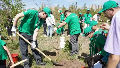 Нур-Султан, Президентский парк, деревья, высадка, ERG, фото - Новости Zakon.kz от 13.05.2022 18:05
