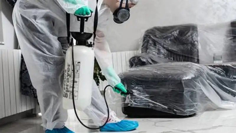 Алматинцы пожаловались на дезинфекторов