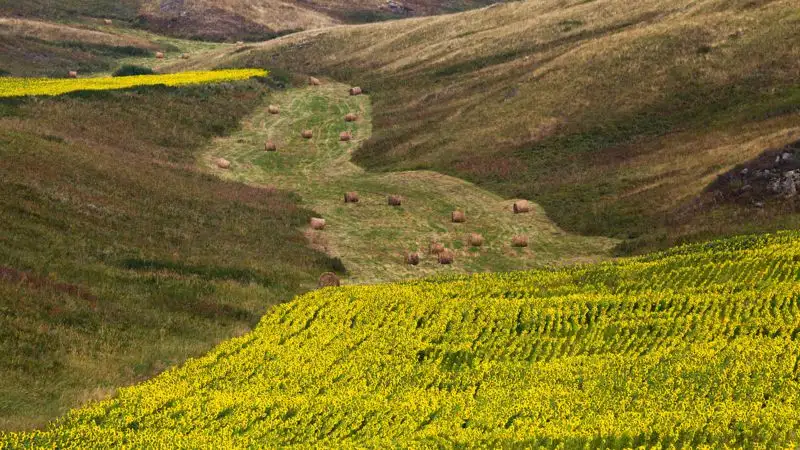 В Казахстане пройдет сельскохозяйственная перепись в 2025 году