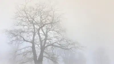 В шести городах Казахстана прогнозируют неблагоприятные метеоусловия, фото - Новости Zakon.kz от 13.02.2023 02:50