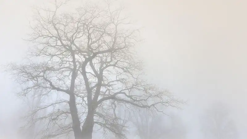 В шести городах Казахстана прогнозируют неблагоприятные метеоусловия