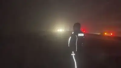 трасса, метель, непогода, фото - Новости Zakon.kz от 04.01.2023 00:03