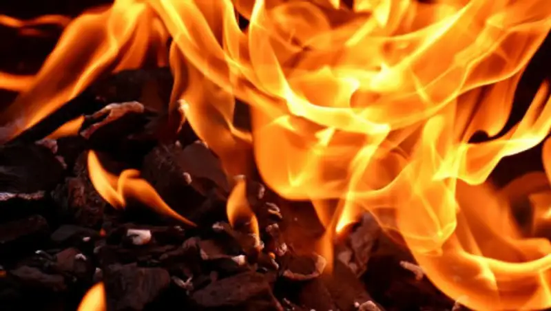 Полицейского зарезали и сожгли в Жамбылской области