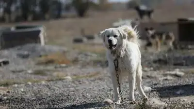 zakon.kz / Павел Михеев, фото - Новости Zakon.kz от 11.10.2021 16:10