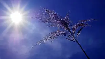 pixabay.com, фото - Новости Zakon.kz от 21.06.2021 15:29