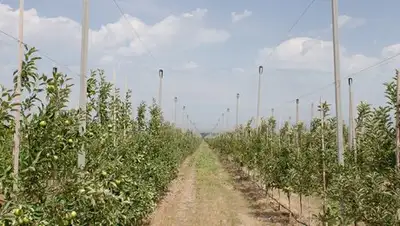 Zakon.kz, фото - Новости Zakon.kz от 01.11.2017 13:55