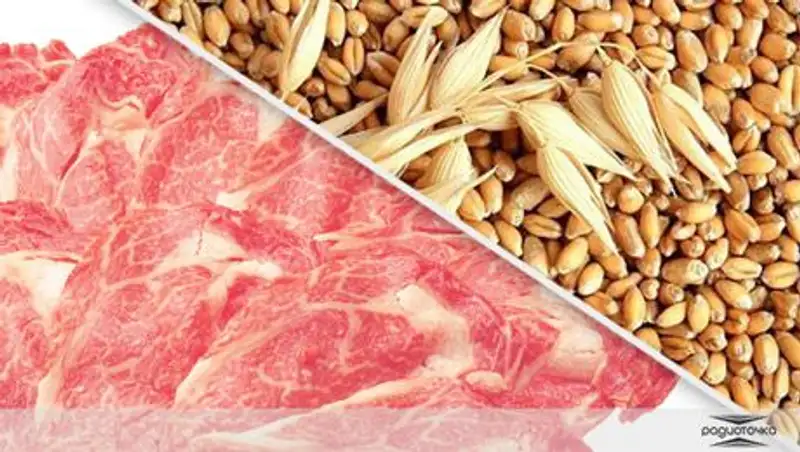 Казахстану нечего предложить России из продуктов взамен запрещенных к ввозу в РФ 