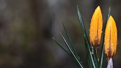 штормовое предупреждение, фото - Новости Zakon.kz от 27.04.2023 20:30