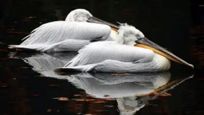 Zakon.kz, фото - Новости Zakon.kz от 21.10.2016 17:32